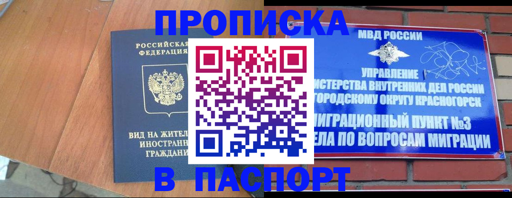 найти адрес прописки в Николаевске